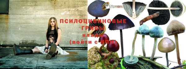 спайс Алексеевка