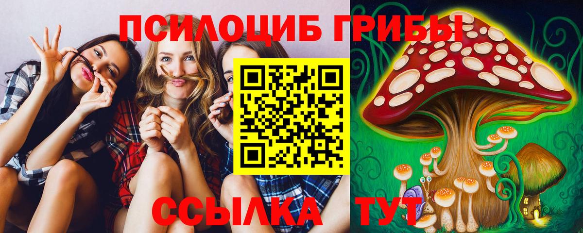 Аргун  Галлюциногенные грибы Psilocybe  Вход с VPN 