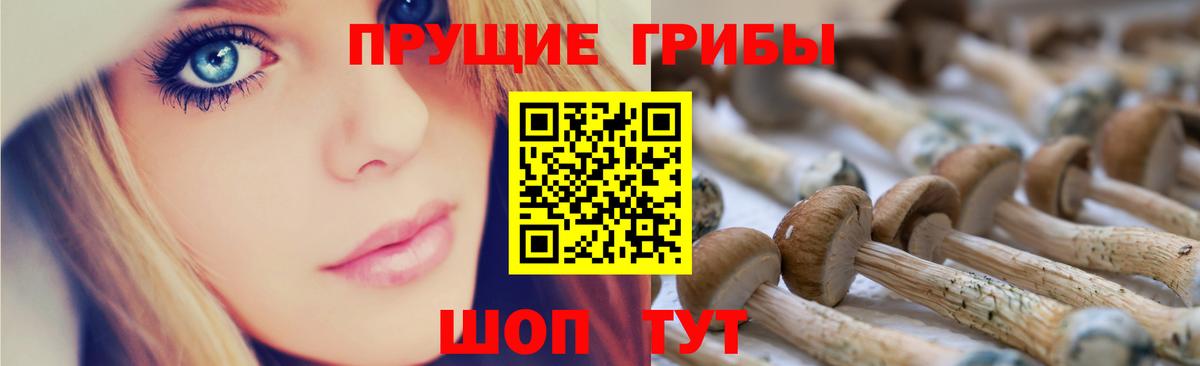 Псилоцибиновые грибы мухоморы Аргун